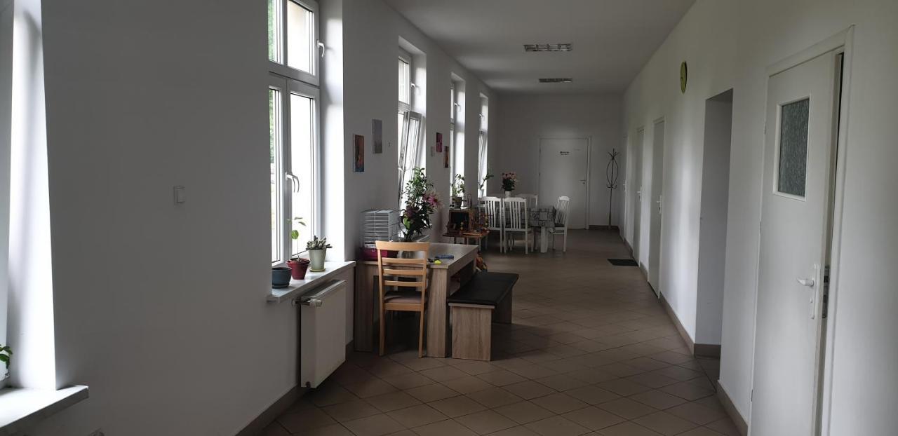 Strefa Zen Pokoje Z Klimatem Przy Parku. Jelenia Gora Exterior photo